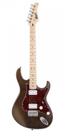 CORT G100HH (Open Pore Walnut)_