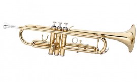 MAXTONE TTC23L-бюджетна- труба