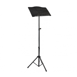 Guitto GSS-04 (з чохлом) Guitto GSS-04 (з чохлом)