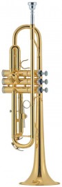 J.MICHAEL TR-200Z(P) Trumpet